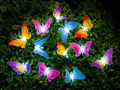 12 Butterfly Solar Garden Lights