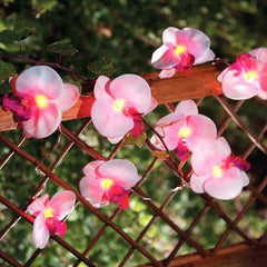 12 Orchid Flower Garden Solar String Lantern Fairy Lights Lamps