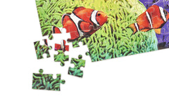 1000 Piece Jigsaw Puzzles for Adults & Teens Age 14+