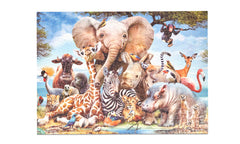 1000 Piece Jigsaw Puzzles for Adults & Teens Age 14+