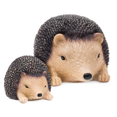 Small & Large Hedgehog