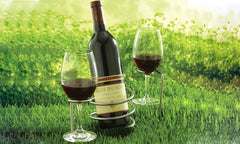 Garden Picnic Wine Bottle and Glasses Holder